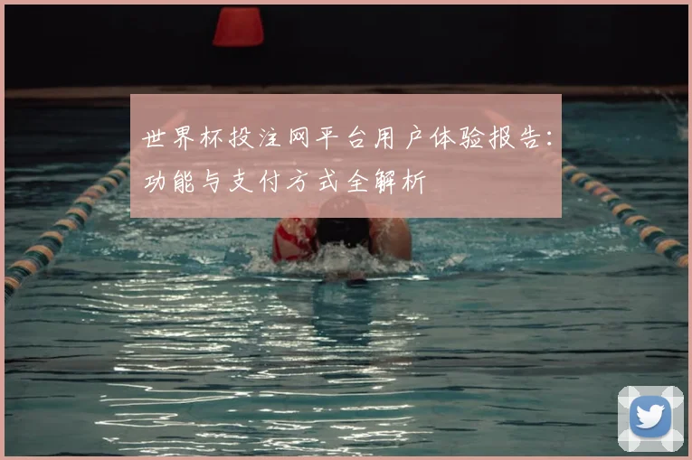 世界杯投注网平台用户体验报告：功能与支付方式全解析