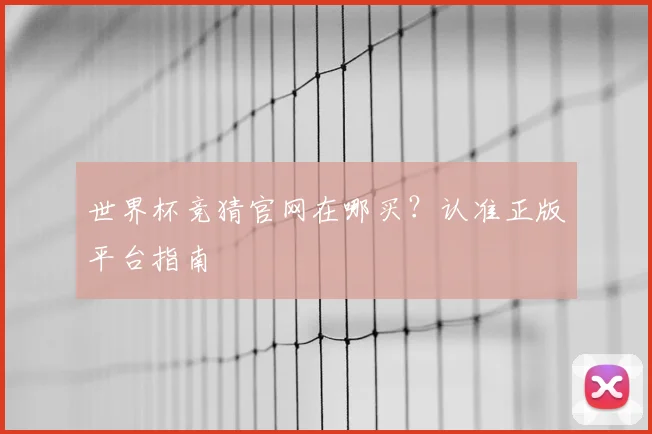 世界杯竞猜官网在哪买？认准正版平台指南