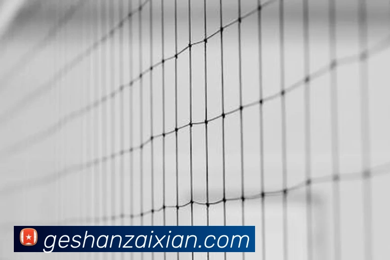 世界杯投注网指南：如何安全选择合规的赛事竞猜平台